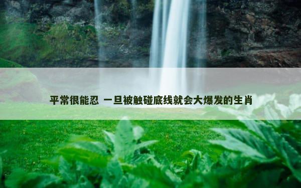 平常很能忍 一旦被触碰底线就会大爆发的生肖