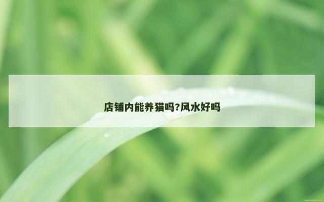 店铺内能养猫吗?风水好吗