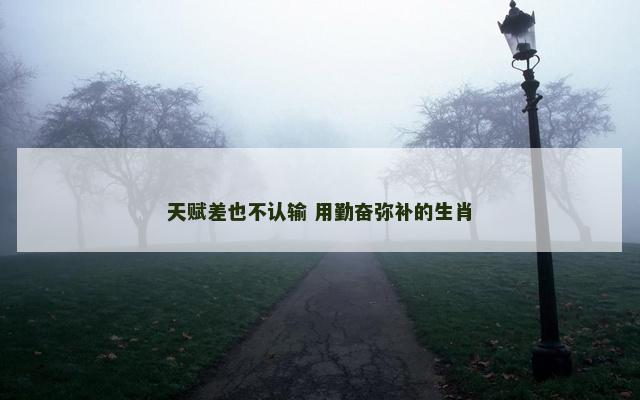 天赋差也不认输 用勤奋弥补的生肖