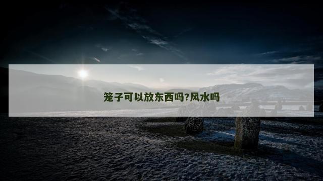 笼子可以放东西吗?风水吗