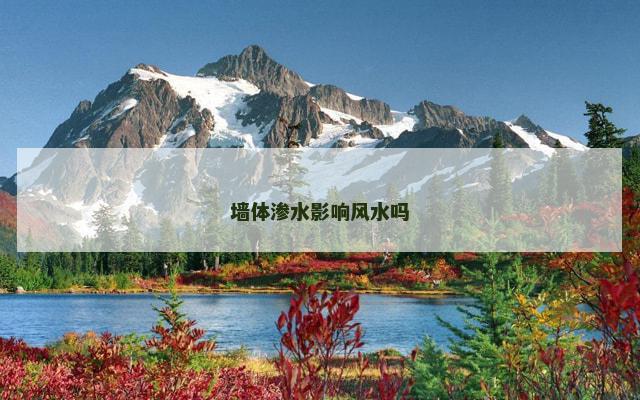 墙体渗水影响风水吗