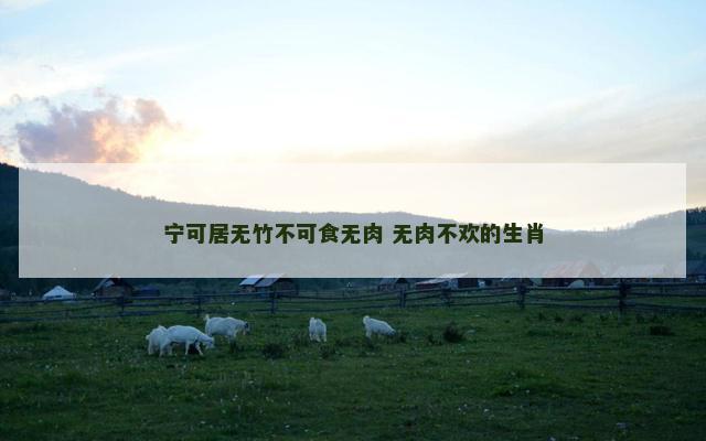 宁可居无竹不可食无肉 无肉不欢的生肖