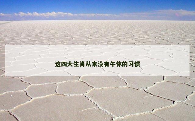 这四大生肖从来没有午休的习惯