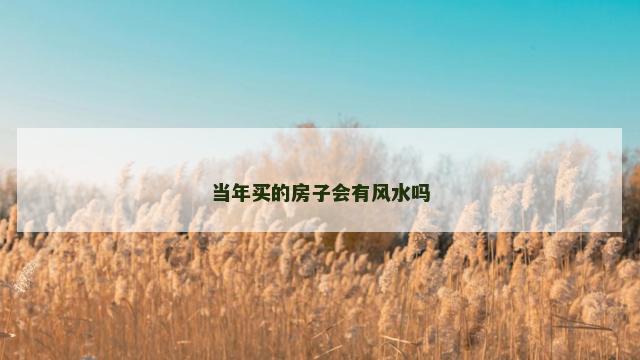 当年买的房子会有风水吗