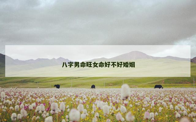 八字男命旺女命好不好婚姻