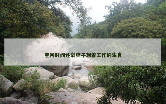 空闲时间还满脑子想着工作的生肖