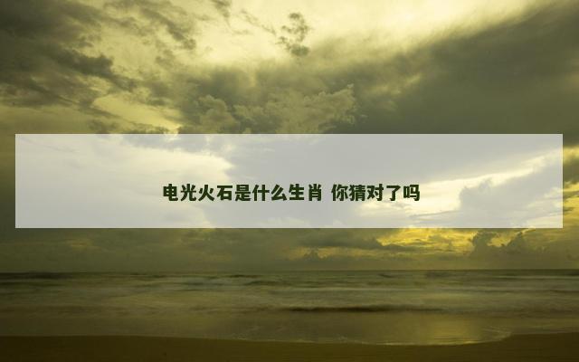 电光火石是什么生肖 你猜对了吗