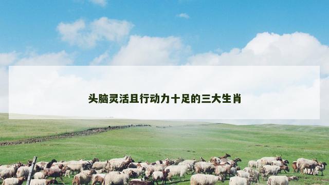 头脑灵活且行动力十足的三大生肖