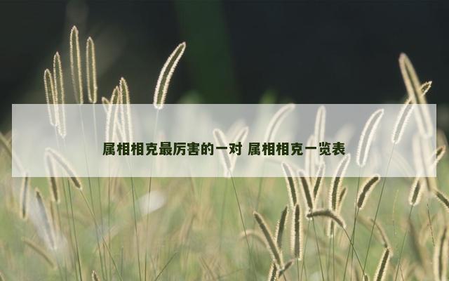 属相相克最厉害的一对 属相相克一览表