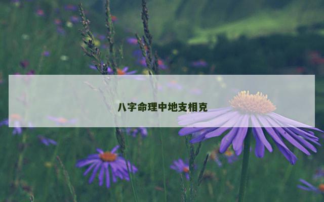 八字命理中地支相克