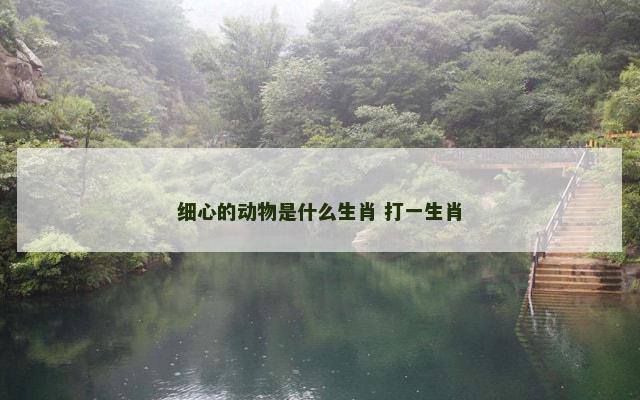 细心的动物是什么生肖 打一生肖