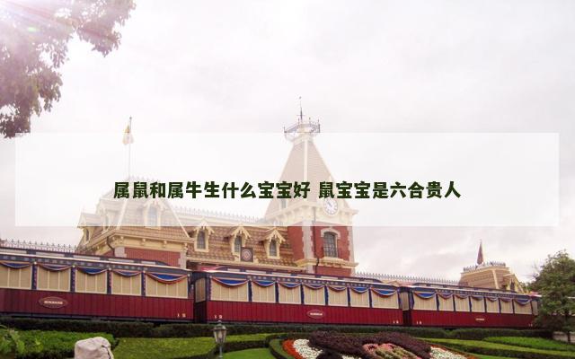 属鼠和属牛生什么宝宝好 鼠宝宝是六合贵人