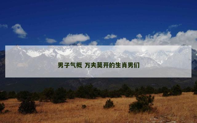 男子气概 万夫莫开的生肖男们