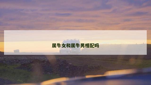 属牛女和属牛男相配吗