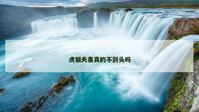 虎猴夫妻真的不到头吗