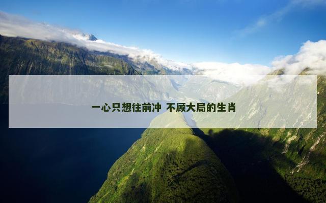 一心只想往前冲 不顾大局的生肖