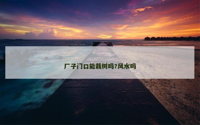 厂子门口能栽树吗?风水吗