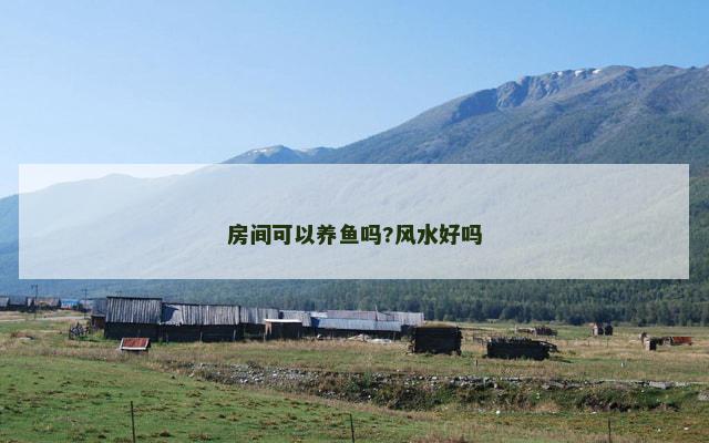 房间可以养鱼吗?风水好吗