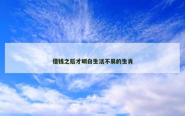 借钱之后才明白生活不易的生肖