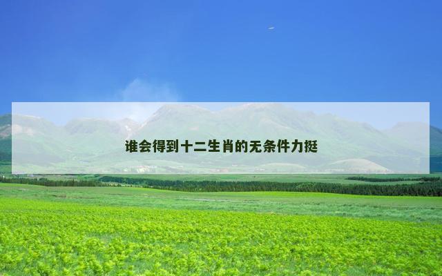 谁会得到十二生肖的无条件力挺