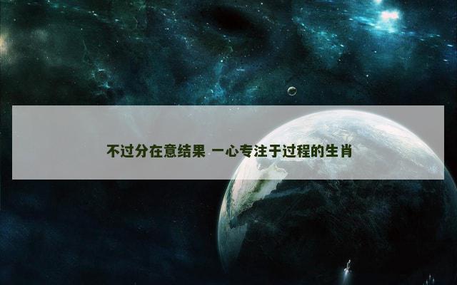 不过分在意结果 一心专注于过程的生肖