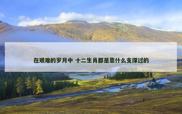 在艰难的岁月中 十二生肖都是靠什么支撑过的