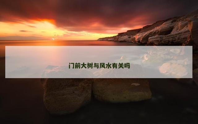 门前大树与风水有关吗