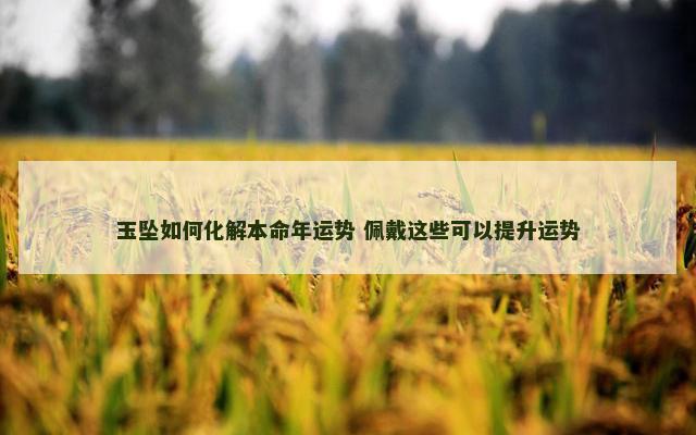 玉坠如何化解本命年运势 佩戴这些可以提升运势
