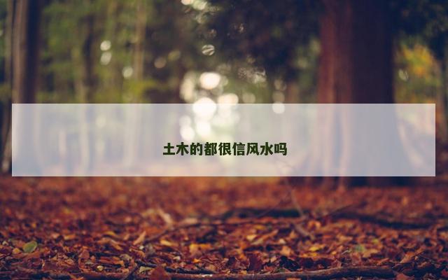 土木的都很信风水吗