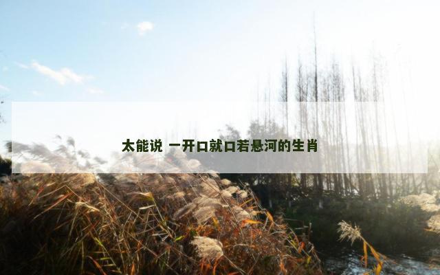 太能说 一开口就口若悬河的生肖