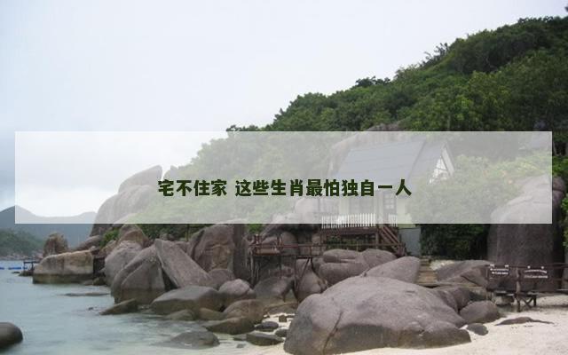 宅不住家 这些生肖最怕独自一人