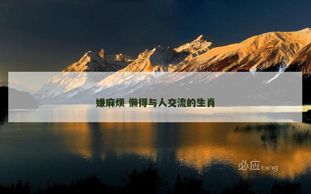 嫌麻烦 懒得与人交流的生肖