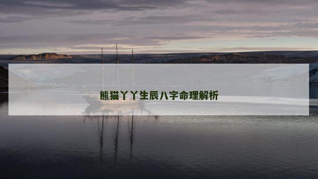 熊猫丫丫生辰八字命理解析
