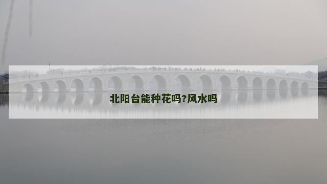 北阳台能种花吗?风水吗