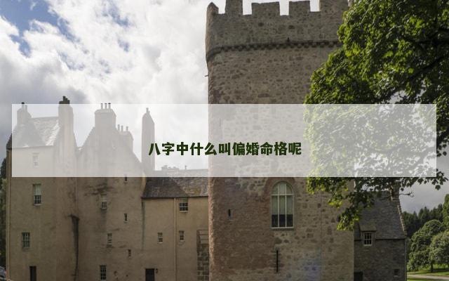 八字中什么叫偏婚命格呢