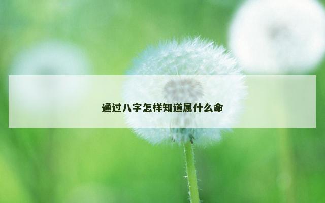 通过八字怎样知道属什么命