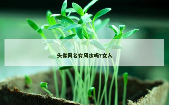 头像网名有风水吗?女人