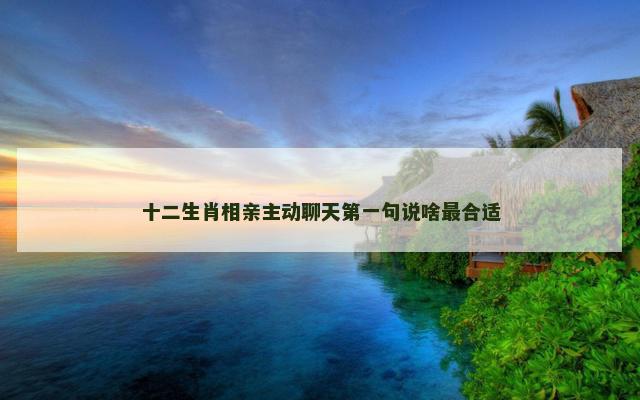 十二生肖相亲主动聊天第一句说啥最合适