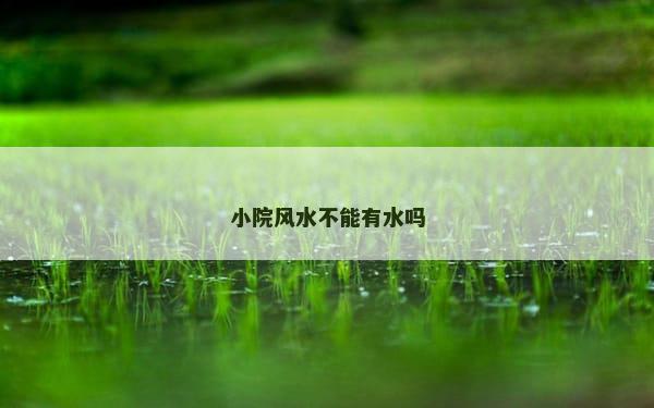 小院风水不能有水吗