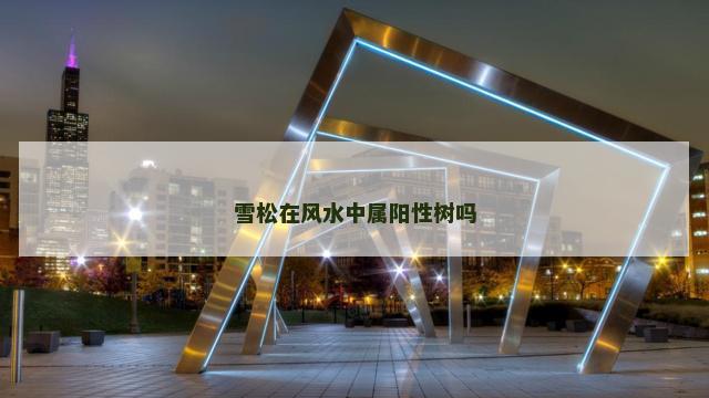 雪松在风水中属阳性树吗