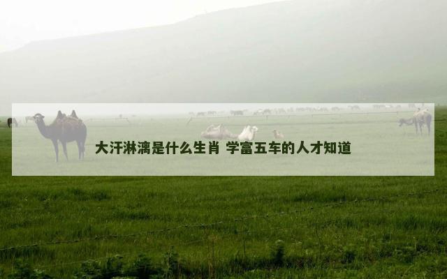 大汗淋漓是什么生肖 学富五车的人才知道