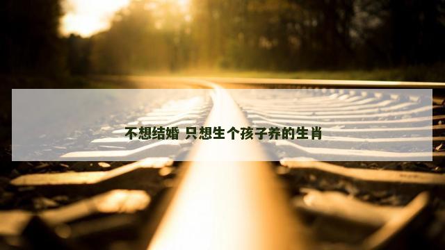 不想结婚 只想生个孩子养的生肖