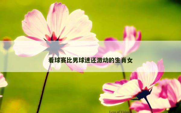 看球赛比男球迷还激动的生肖女