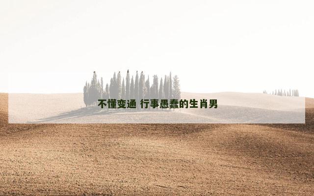 不懂变通 行事愚蠢的生肖男