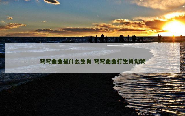 弯弯曲曲是什么生肖 弯弯曲曲打生肖动物