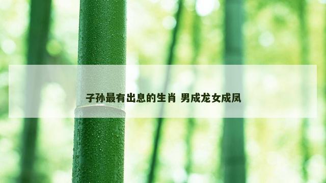 子孙最有出息的生肖 男成龙女成凤