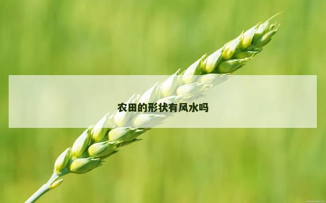 农田的形状有风水吗