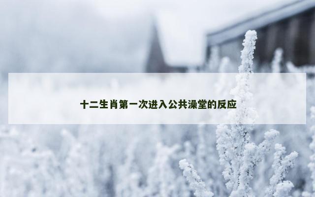 十二生肖第一次进入公共澡堂的反应