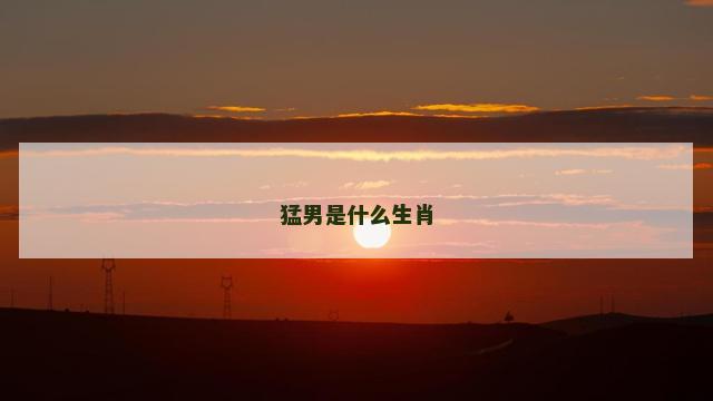 猛男是什么生肖