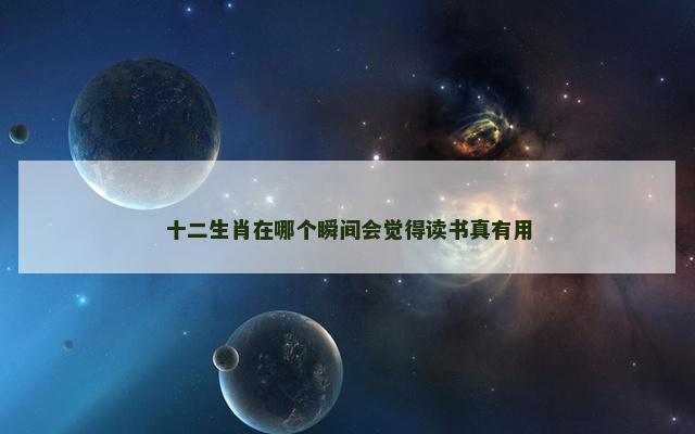 十二生肖在哪个瞬间会觉得读书真有用